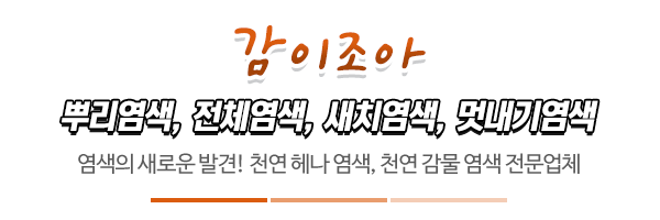 감이조아_메인문구